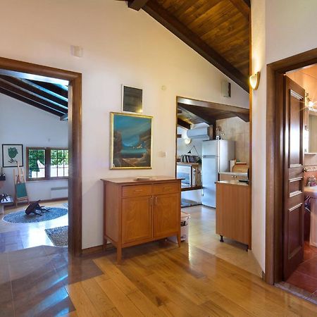 Villa Robinson Petrovac المظهر الخارجي الصورة